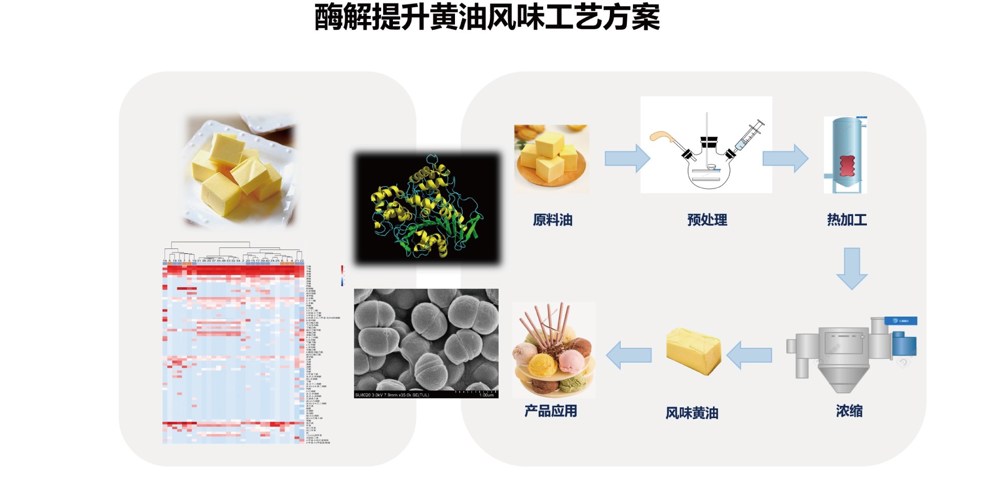 03-产品部分-农粮部分-中粮集团产品手册250126-20.jpg